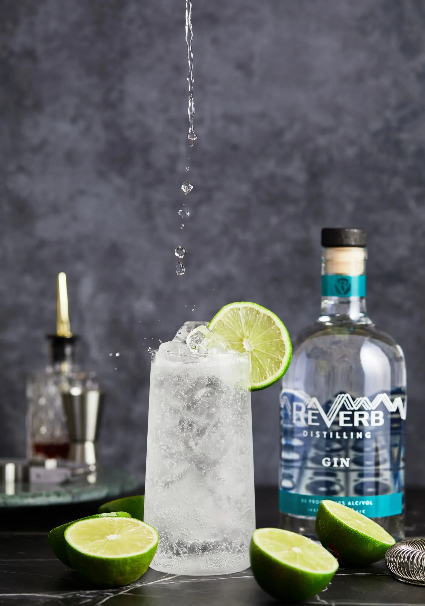 A ReVerb Gin highball with ice and citrus