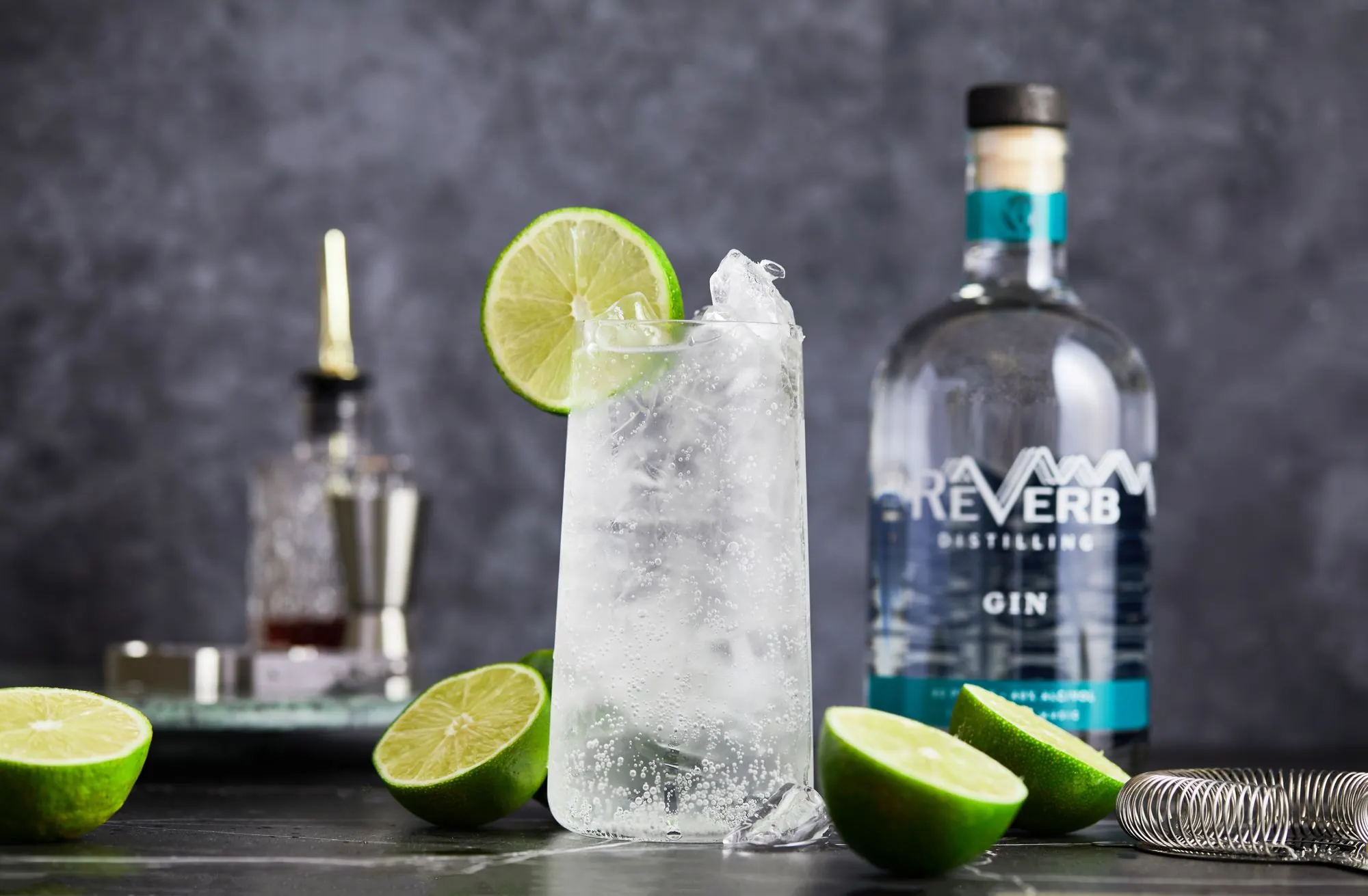 A ReVerb gin and tonic with lime